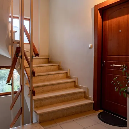 Amalias Studio
